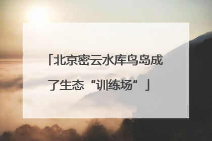 北京密云水库鸟岛成了生态“训练场”