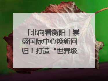 北向看衡阳｜崇盛国际中心焕新回归！打造“世界级美食主题公园”