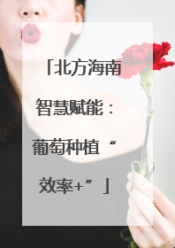 北方海南智慧赋能：葡萄种植“效率+”