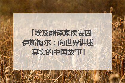 埃及翻译家侯赛因·伊斯梅尔：向世界讲述真实的中国故事