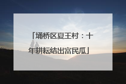 埇桥区夏王村：十年耕耘结出富民瓜