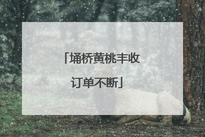 埇桥黄桃丰收 订单不断