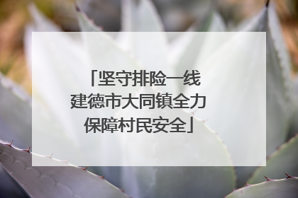 坚守排险一线 建德市大同镇全力保障村民安全