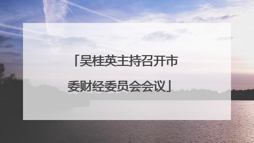 吴桂英主持召开市委财经委员会会议