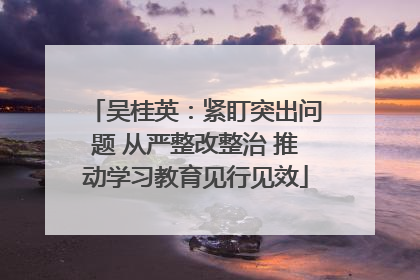 吴桂英：紧盯突出问题 从严整改整治 推动学习教育见行见效