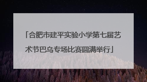 合肥市建平实验小学第七届艺术节巴乌专场比赛圆满举行