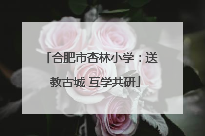 合肥市杏林小学：送教古城 互学共研