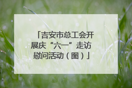 吉安市总工会开展庆“六一”走访慰问活动（图）