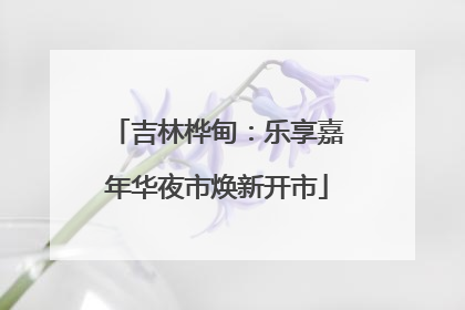 吉林桦甸：乐享嘉年华夜市焕新开市