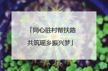 同心驻村帮扶路 共筑瑶乡振兴梦