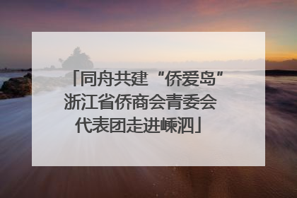 同舟共建“侨爱岛” 浙江省侨商会青委会代表团走进嵊泗