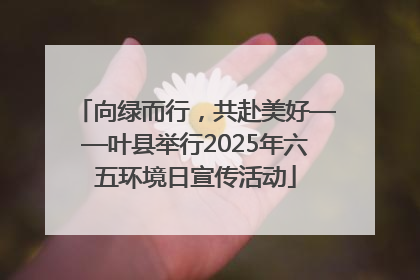 向绿而行，共赴美好——叶县举行2025年六五环境日宣传活动