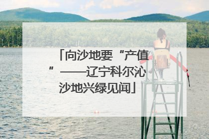 向沙地要“产值”——辽宁科尔沁沙地兴绿见闻