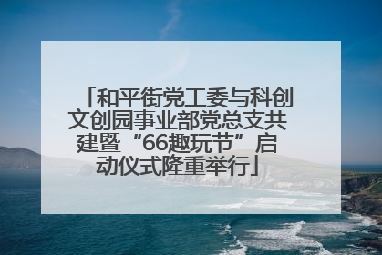 和平街党工委与科创文创园事业部党总支共建暨“66趣玩节”启动仪式隆重举行