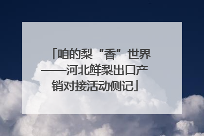 咱的梨“香”世界——河北鲜梨出口产销对接活动侧记