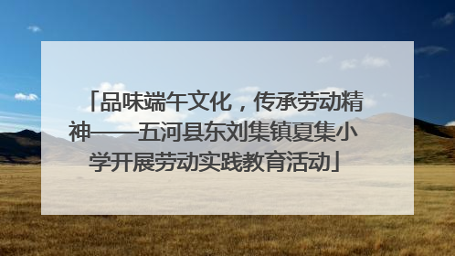 品味端午文化，传承劳动精神——五河县东刘集镇夏集小学开展劳动实践教育活动