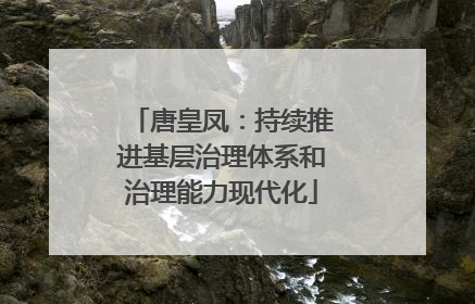 唐皇凤：持续推进基层治理体系和治理能力现代化