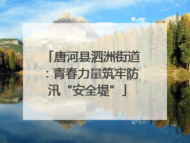 唐河县泗洲街道：青春力量筑牢防汛“安全堤”