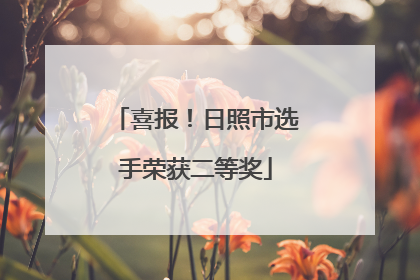 喜报！日照市选手荣获二等奖