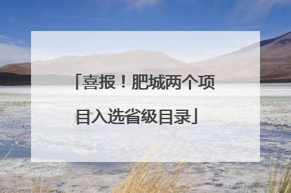 喜报！肥城两个项目入选省级目录