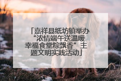 嘉祥县纸坊镇举办“浓情端午送温暖 幸福食堂粽飘香”主题文明实践活动