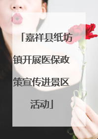 嘉祥县纸坊镇开展医保政策宣传进景区活动
