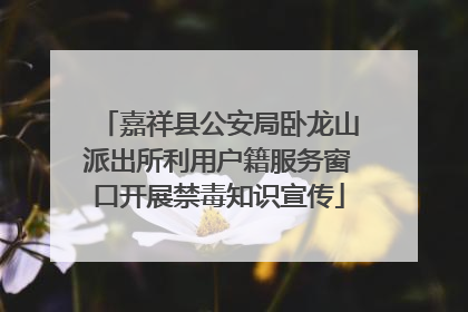 嘉祥县公安局卧龙山派出所利用户籍服务窗口开展禁毒知识宣传