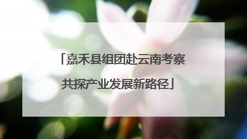 嘉禾县组团赴云南考察 共探产业发展新路径