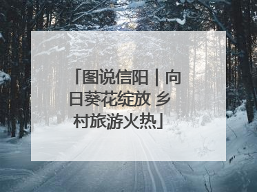 图说信阳｜向日葵花绽放 乡村旅游火热