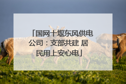 国网十堰东风供电公司：支部共建 居民用上安心电