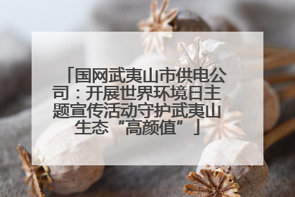 国网武夷山市供电公司：开展世界环境日主题宣传活动守护武夷山生态“高颜值”
