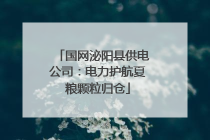 国网泌阳县供电公司：电力护航夏粮颗粒归仓