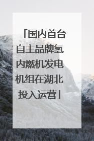 国内首台自主品牌氢内燃机发电机组在湖北投入运营