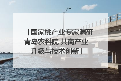国家桃产业专家调研青岛农科院 共商产业升级与技术创新