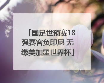 国足世预赛18强赛客负印尼 无缘美加墨世界杯