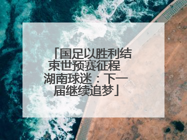 国足以胜利结束世预赛征程 湖南球迷：下一届继续追梦