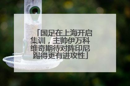 国足在上海开启集训，主帅伊万科维奇期待对阵印尼踢得更有进攻性