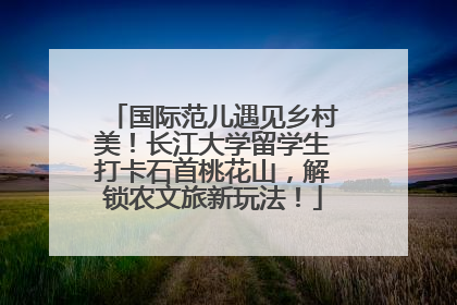国际范儿遇见乡村美！长江大学留学生打卡石首桃花山，解锁农文旅新玩法！