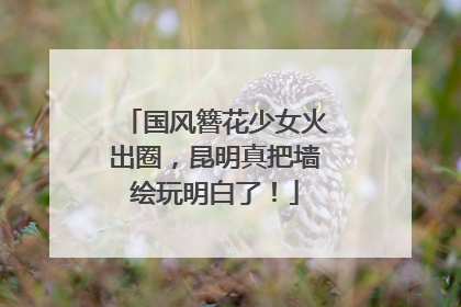 国风簪花少女火出圈，昆明真把墙绘玩明白了！
