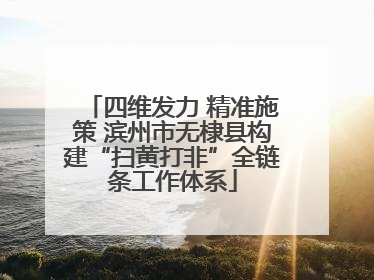四维发力 精准施策 滨州市无棣县构建“扫黄打非”全链条工作体系