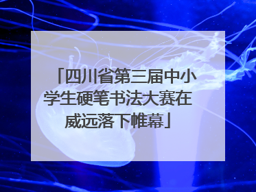 四川省第三届中小学生硬笔书法大赛在威远落下帷幕