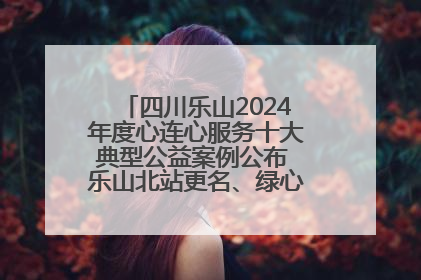 四川乐山2024年度心连心服务十大典型公益案例公布 乐山北站更名、绿心路井盖治理等上榜