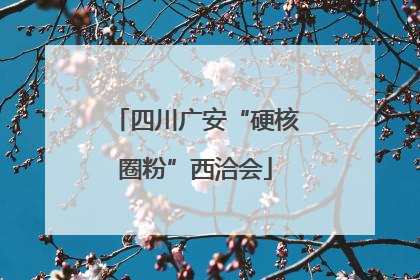四川广安“硬核圈粉”西洽会