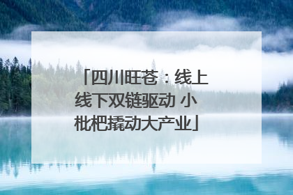 四川旺苍：线上线下双链驱动 小枇杷撬动大产业