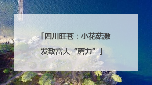 四川旺苍：小花菇激发致富大“蘑力”