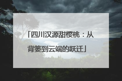 四川汉源甜樱桃：从背篓到云端的跃迁