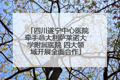 四川遂宁中心医院牵手意大利萨莱诺大学附属医院 四大领域开展全面合作
