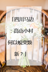 四川马边：高山小村何以蜕变焕新？