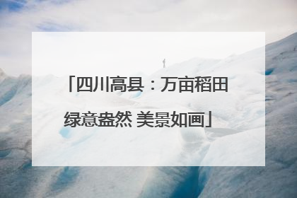 四川高县：万亩稻田绿意盎然 美景如画
