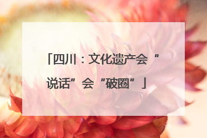 四川：文化遗产会“说话”会“破圈”